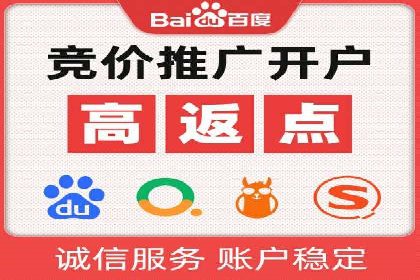 初学者的百度竞价推广：成功案例揭秘